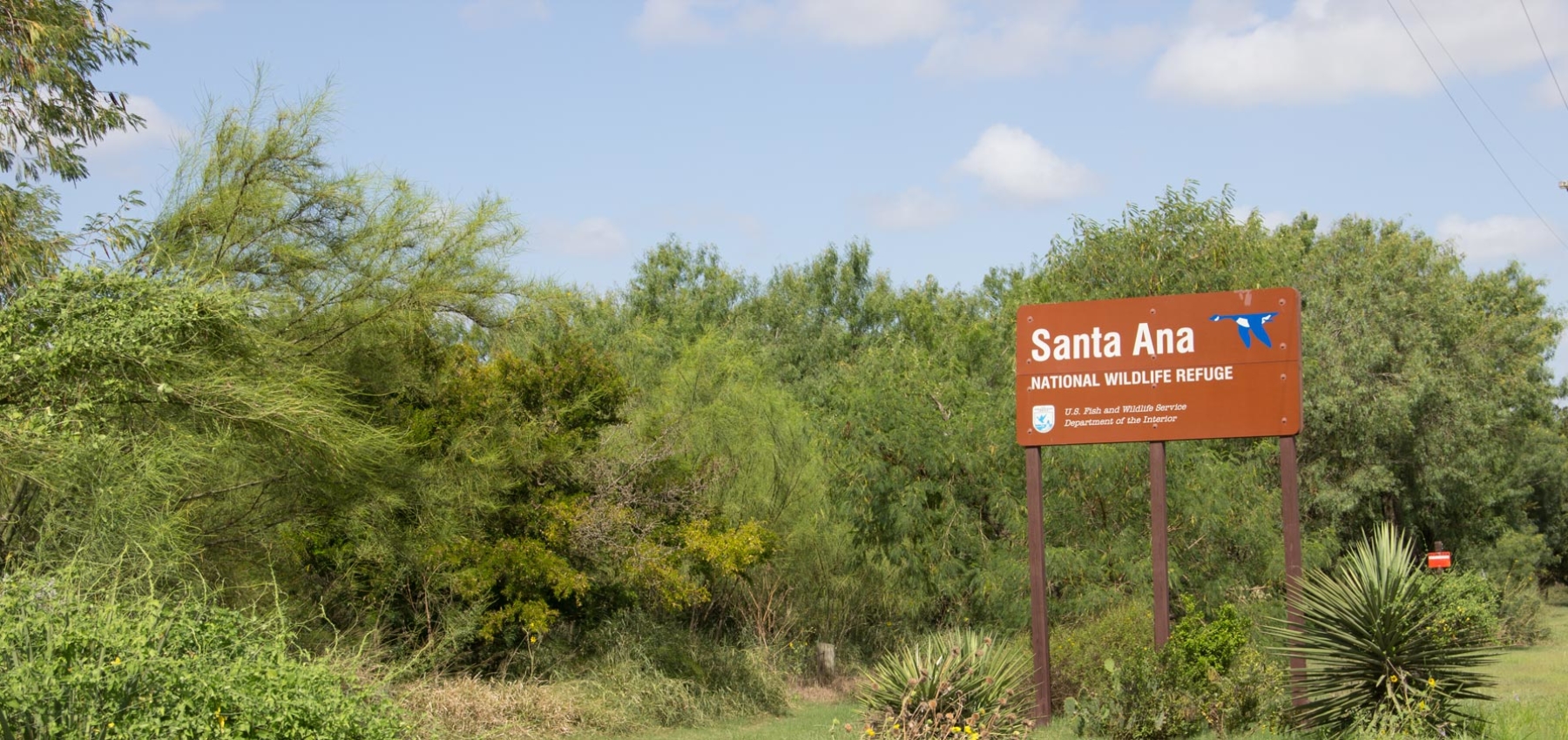 Alamo California County