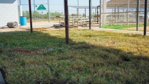 Alamo Sports Complex Grass-2