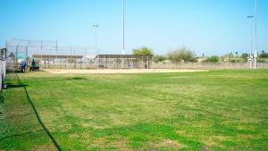 Alamo Sports Complex Grass-26 (1)