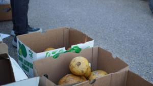 FoodDistribution-31-2