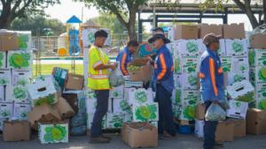 FoodDistribution-85-2