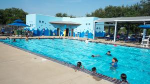 Swimming Classes-11