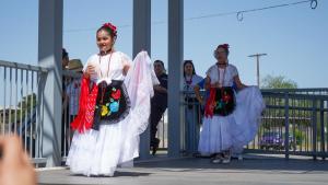 Texas Independence Day Parade-208