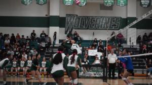 Wolverines Volleyball Game-11